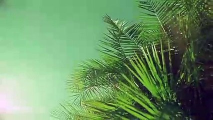 단원출장안마 {Ø1Øx2703x7745}【카톡VVV75】단원출장샵'예약'단원출장마사지 단원여대생출장 단원여고생출장 단원콜걸샵