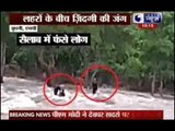 Floods lash picnic spot, people climb on trees to save life