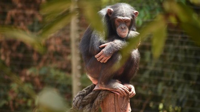Arrêt sur images du 28 février 2019