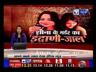 Sheena Bora was pregnant at the time of her murder