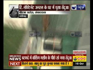 Leopard enters a house in Chandigarh