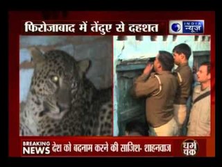 Leopard enters a home in Firozabad, Uttar Pradesh