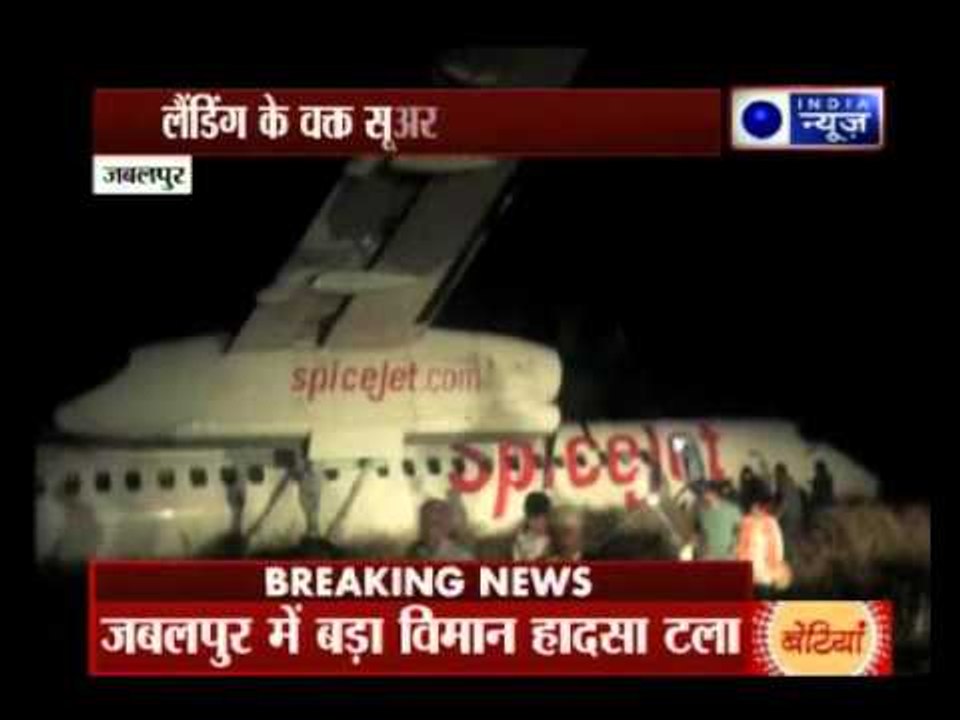 Close shave for flight in MP as wild boars enter runway