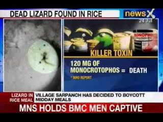 Bihar Midday Meal: WHO flashed red light