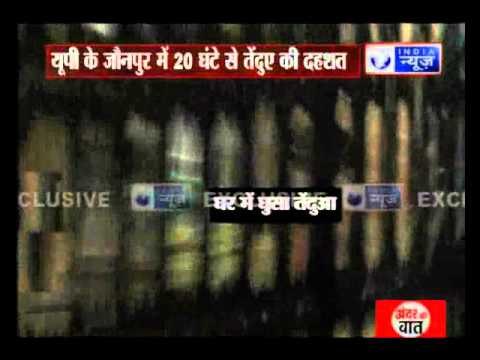 Uttar Pradesh: Leopard injured three person in Jaunpur Uttar Pradesh