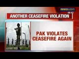 India vs Pakistan: Another ceasefire violation by Pakistan in Jammu