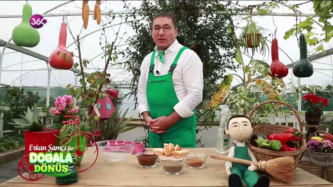 Doğala Dönüş
