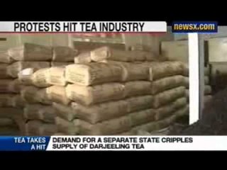 News X: In Darjeeling shutdown over the last two weeks has taken a toll on tea