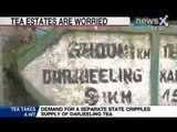 News X: Demand for a separate state cripples supply of Darjeeling Tea