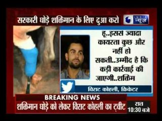 'Shocked and disgusted' by attack on Horse Shaktiman: Tweets Virat Kohli