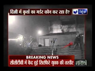 Delhi's serial dog killer caught on camera