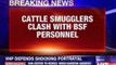 Cattle smugglers clash with BSF personnel