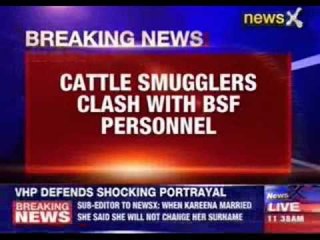 Cattle smugglers clash with BSF personnel