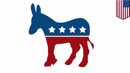 How the Democratic party will stage its primary debates