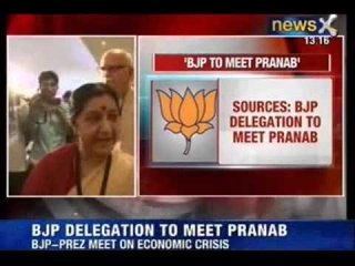 NewsX : BJP to meet Pranab Mukherjee for economical crisis