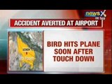 Breaking News : Narrow escape for Air India passengers as bird hits plane soon after touch down