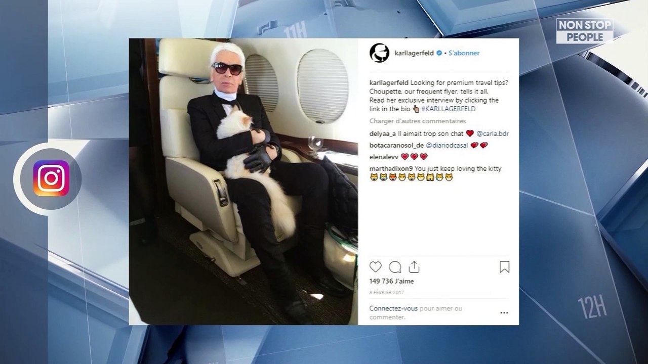 Karl Lagerfeld mort : Qui est la nouvelle maman de sa chatte Choupette ?