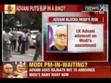 Narendra Modi for prime Minister: LK Advani wants delay in candidature