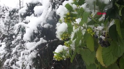 Rize'de Yüksek Kesimlerde Kar Yağışı Etkili Oluyor