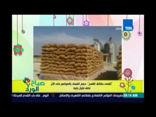 صباح الورد - تقصي حقائق القمح حجم الفساد بالصوامع حتى الآن نصف مليار جنيه