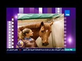 عسل ابيض|  فارسة روسية تنسحب من بطولة الريو بسب مرض الحصان  الخاص بها