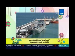 صباح الورد - تفاصيل انشاء ميناء دهب لانشاء خط ملاحي  بين مصر والسعودية