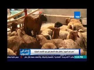 حسين هيكل :مشروع البتلو في التسعينات كان هيقضي علي مافيا اللحوم لكن تم القضاء عليه بفعل فاعل