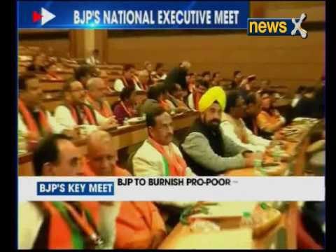 BJP's 2-day National Executive Meet begins today; likely to pass two resolutions