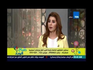 صباح الورد - مسؤول قطاع البترول يوضح ألية القطاع لحل الازمة