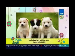 صباح الورد - دراسة تؤكد ان مخ الكلب يرتبط بصاحبه عن طريق بعض الكلمات المعينة
