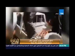 مساء القاهرة - جزار يذبح الحمير علناً أمام الجمهور ويحدد سعر البيع بـ 45ج للكيلو