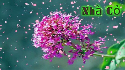 Audio đam mỹ: Dị Thế Lưu Đày: 55 - 57