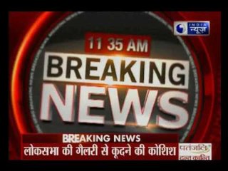 Man tries to jump from Lok Sabha gallery into the house