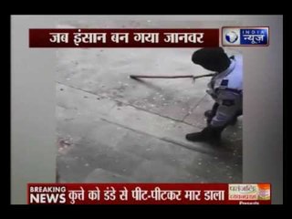 New Delhi: A street dog dies after beaten by man so badly