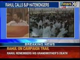 Rahul Gandhi recalls 'pain' of Indira & Rajiv Gandhi's deaths in Churu rally - NewsX