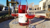 Le rosé, le compagnon des jours d'été