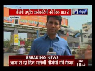 PM Narendra Modi to attend BJP's National Executive meet, to organise road show in Bhubaneshwar