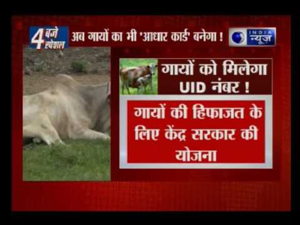 Cows to get UID number to check smuggling, suggests Narendra Modi govt