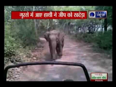 Furious Elephant chases tourists in Jim Corbett National Park, Uttarakhand