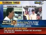 NewsX: TDP and YSR have demanded resolution on united Andra Pradesh