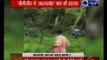 Uttar Pradesh: Tiger kills another farmer in Pilibhit