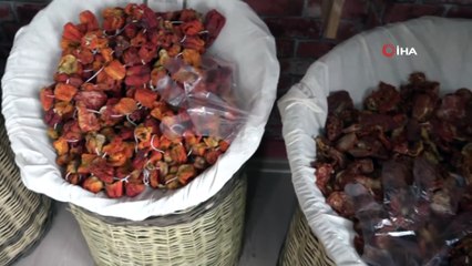 Girişimci kadınlardan “Organik Tarım Evi”