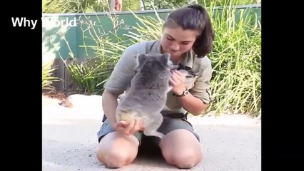 Animals Hugging People Animals Hugging Humans Compilation New 2018 HD