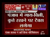 पंजाब में गाय, भैंस, कुत्ता, बिल्ली पालने पर चुकाना होगा टैक्स, नोटिफिकेशन जारी