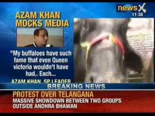 Descargar video: News X: Azam Khan has more famous buffaloes than Queen Victoria of England