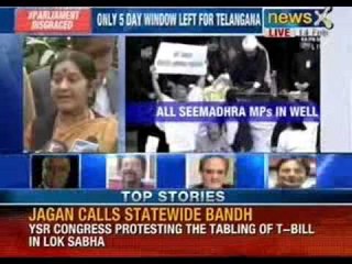 Telangana Bill row: Congress-BJP indulge in blamegame