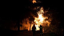 Ungewöhnlich viele Waldbrände breiten sich 2019 in Europa aus