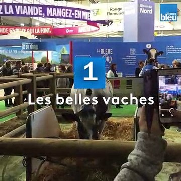 Salon de l'agriculture : le résumé en images