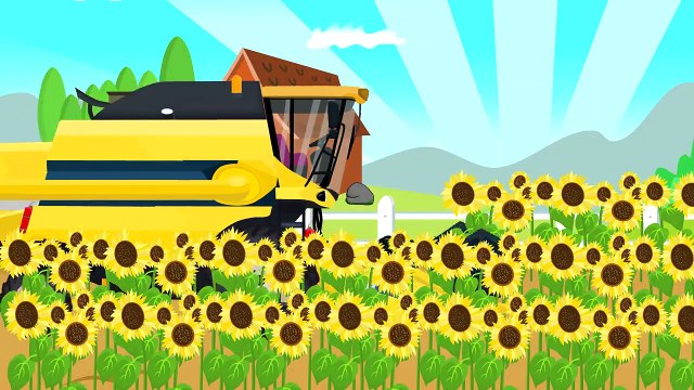 Extra Tractor and Yellow Combine Harvester | Formation and uses | Bajka Traktor I Kombajn Pracuje