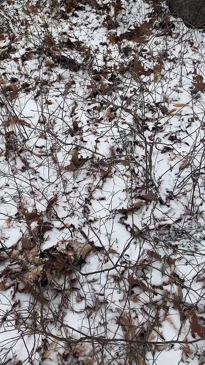 Brian Ghilliotti: Lithic Circle in Essex, CT: Explanation for Frequent 30-60 azimuths